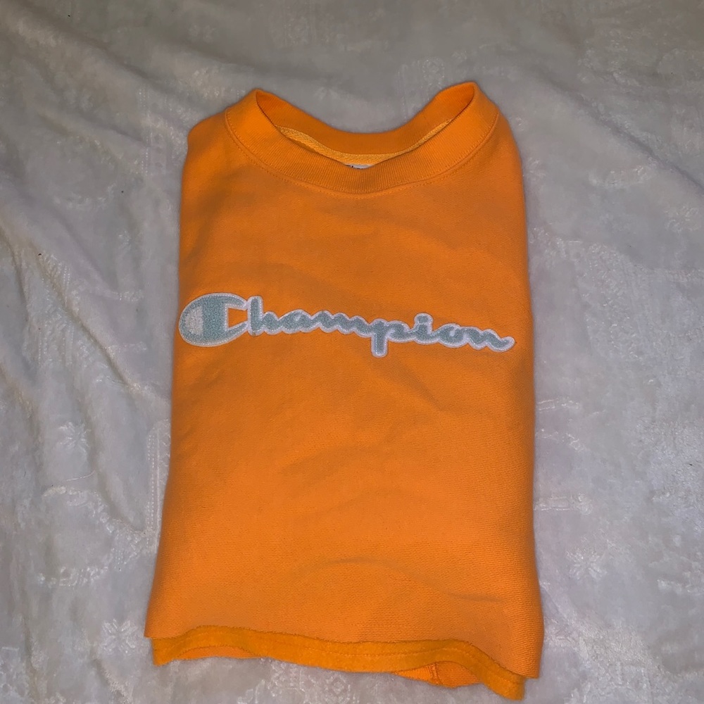 champion crew neck crop top